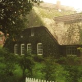 0109F 14 Reedgedecktes Haus im Nebel